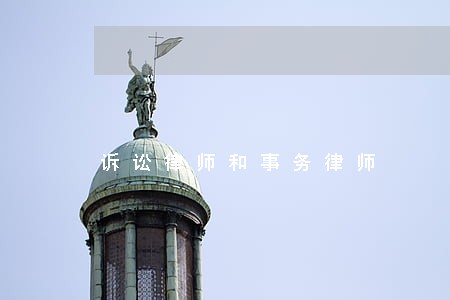 诉讼律师和事务律师 诉讼律师和事务律师