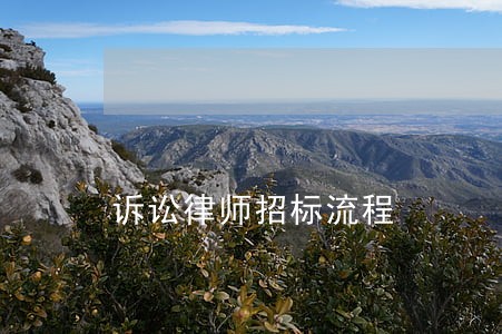诉讼律师招标流程 诉讼律师招标流程