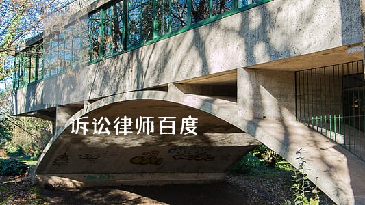 诉讼律师百度 诉讼律师百度