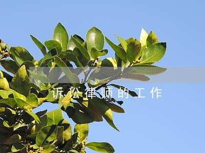 诉讼律师的工作 诉讼律师的工作