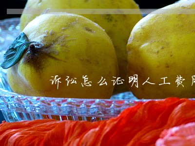 诉讼怎么证明人工费用 诉讼怎么证明人工费用