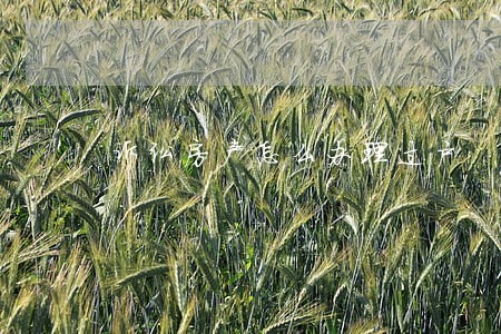 诉讼房产怎么办理过户 诉讼房产怎么办理过户