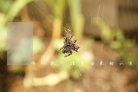 诉讼执行程序结束的认定 诉讼执行程序结束的认定