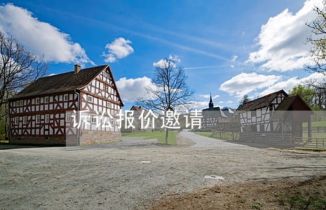 诉讼报价邀请