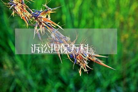 诉讼担保万科 诉讼担保万科