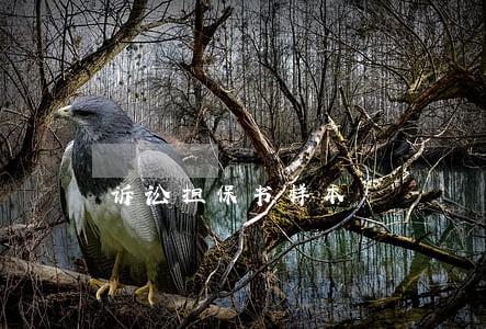 诉讼担保书样本 诉讼担保书样本