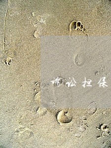 诉讼担保何时解除 诉讼担保何时解除