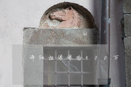 诉讼担保保险300万 诉讼担保保险300万