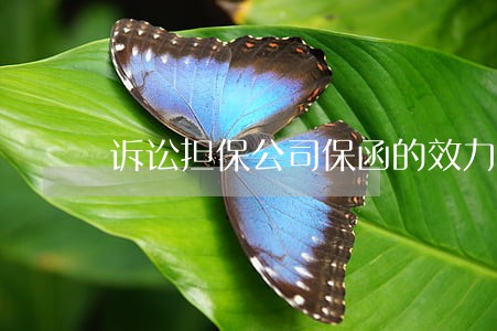 诉讼担保公司保函的效力 诉讼担保公司保函的效力