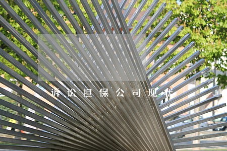 诉讼担保公司现状