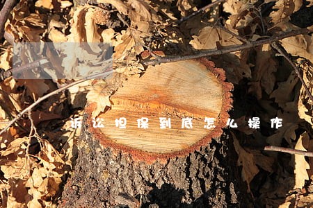 诉讼担保到底怎么操作 诉讼担保到底怎么操作