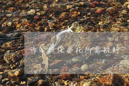 诉讼担保委托所需材料