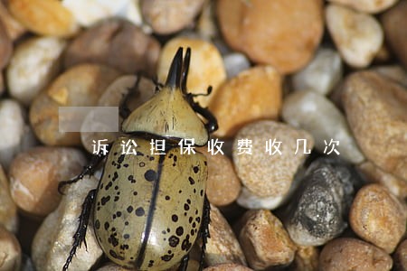 诉讼担保收费收几次 诉讼担保收费收几次