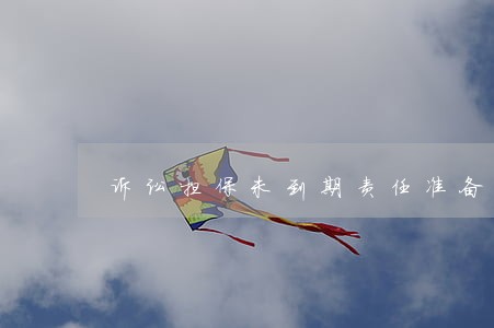 诉讼担保未到期责任准备 诉讼担保未到期责任准备