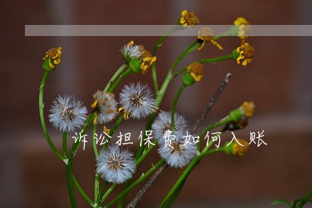 诉讼担保费如何入账 诉讼担保费如何入账