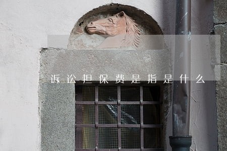 诉讼担保费是指是什么 诉讼担保费是指是什么