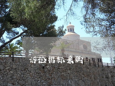 诉讼招标采购 诉讼招标采购