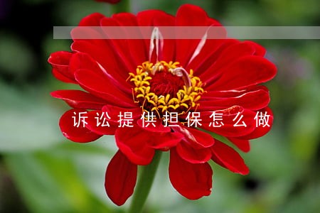 诉讼提供担保怎么做 诉讼提供担保怎么做