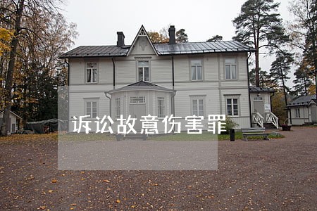 诉讼故意伤害罪 诉讼故意伤害罪