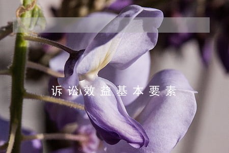 诉讼效益基本要素 诉讼效益基本要素