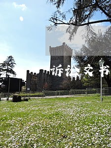 诉讼文书代收人什么意思