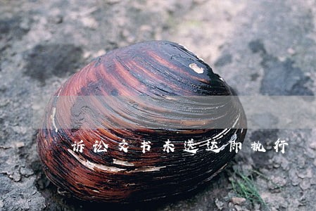 诉讼文书未送达即执行 诉讼文书未送达即执行