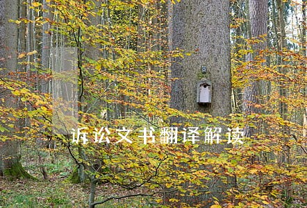 诉讼文书翻译解读