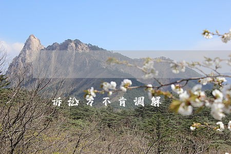 诉讼方不肯调解