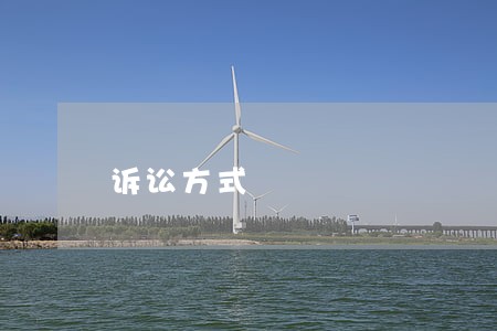 诉讼方式 诉讼方式