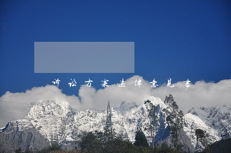 诉讼方案法律意见书 诉讼方案法律意见书