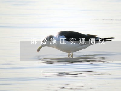 诉讼施压实现债权 诉讼施压实现债权