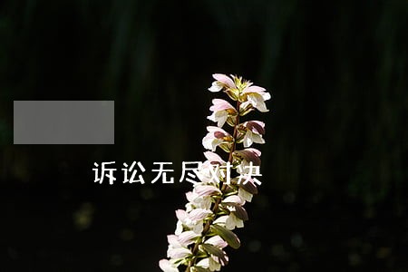 诉讼无尽对决 诉讼无尽对决
