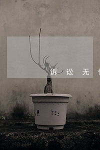 诉讼无忧测试网