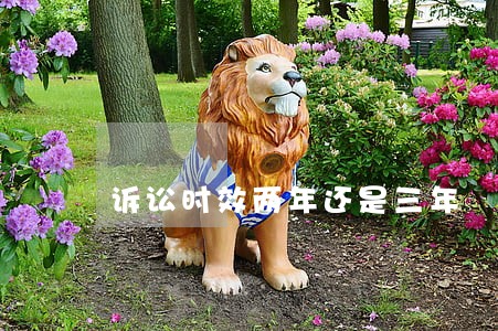 诉讼时效两年还是三年 诉讼时效两年还是三年