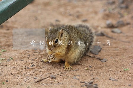 诉讼时效仅剩1个月 诉讼时效仅剩1个月