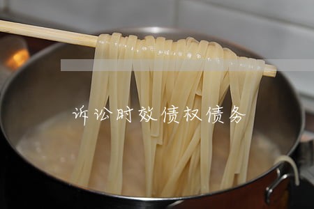 诉讼时效债权债务 诉讼时效债权债务