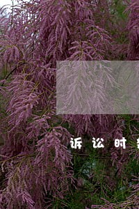 诉讼时效属于实体法还是程序法