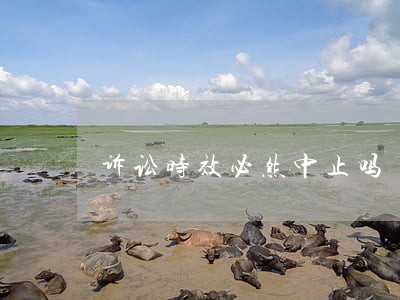 诉讼时效必然中止吗