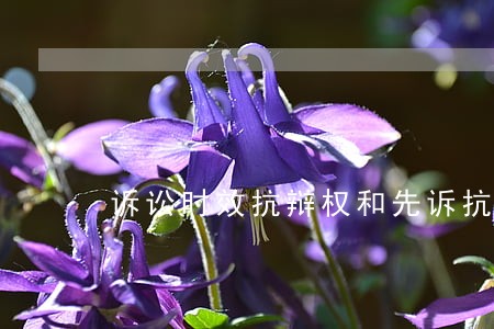 诉讼时效抗辩权和先诉抗辩权 诉讼时效抗辩权和先诉抗辩权