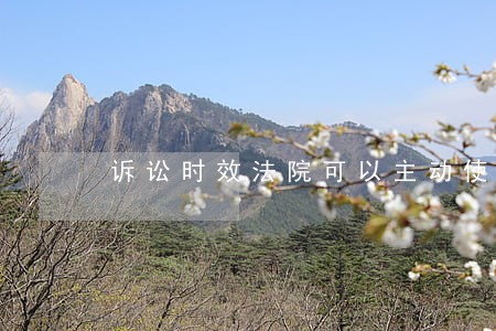 诉讼时效法院可以主动使用吗