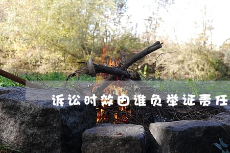 诉讼时效由谁负举证责任