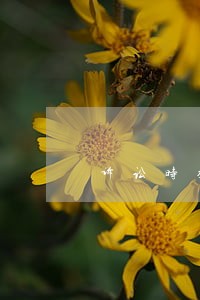 诉讼时效的问题求解 诉讼时效的问题求解