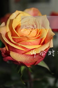 诉讼时效若干争议问题研究 诉讼时效若干争议问题研究