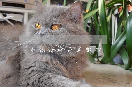 诉讼时效计算实例 诉讼时效计算实例