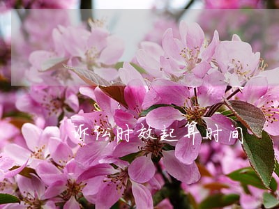 诉讼时效起算时间 诉讼时效起算时间