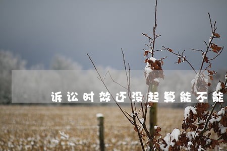 诉讼时效还没起算能不能起诉 诉讼时效还没起算能不能起诉