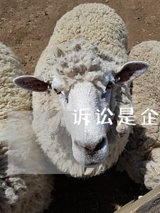 诉讼是企业竞争手段之一
