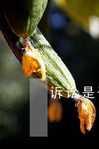 诉讼是否已过时效期 诉讼是否已过时效期