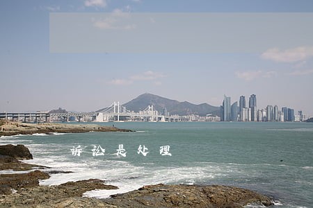 诉讼是处理 诉讼是处理