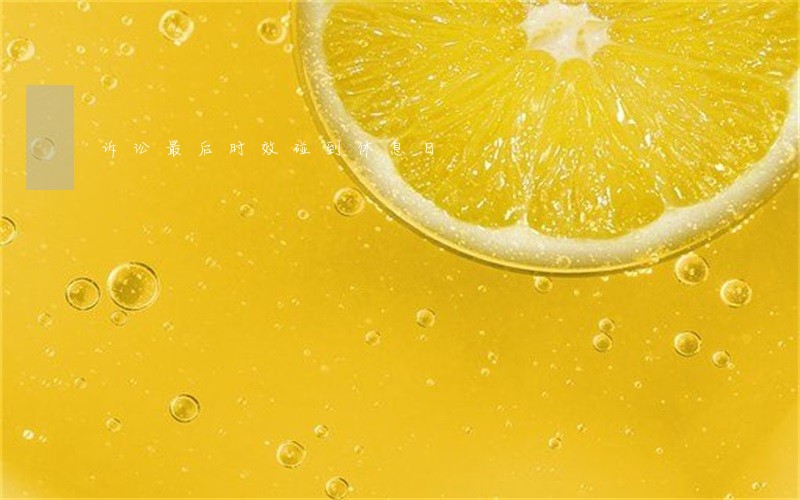 诉讼最后时效碰到休息日 诉讼最后时效碰到休息日